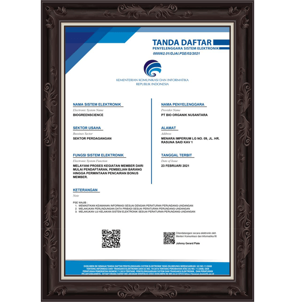 PSE - Penyelenggara Sistem Elektronik